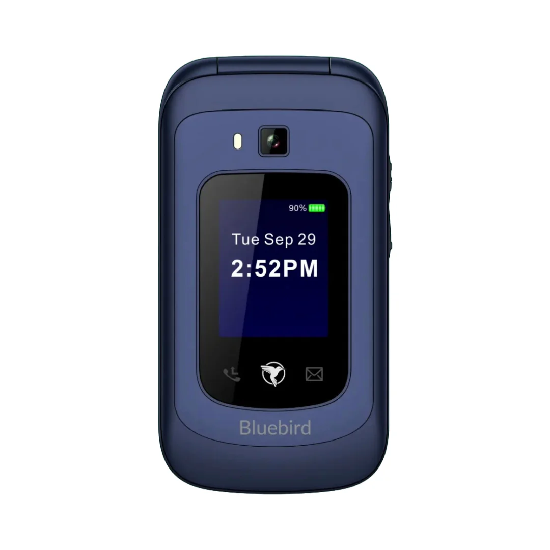 Sunbeam F1 Horizon - Image 5