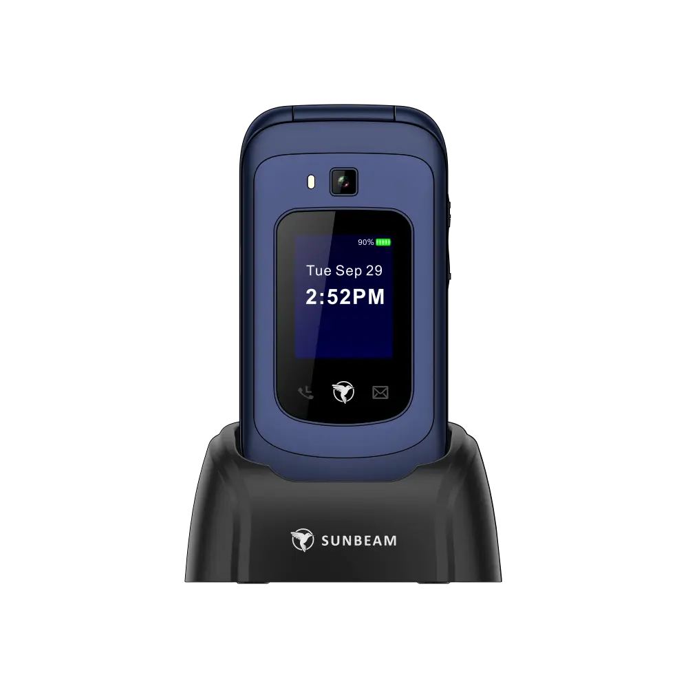 Sunbeam F1 Horizon - Image 6
